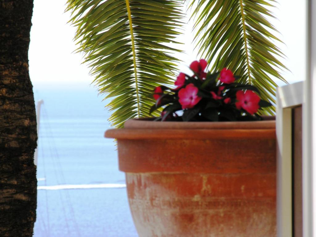 Hotel La Flore Villefranche-sur-Mer Phòng bức ảnh
